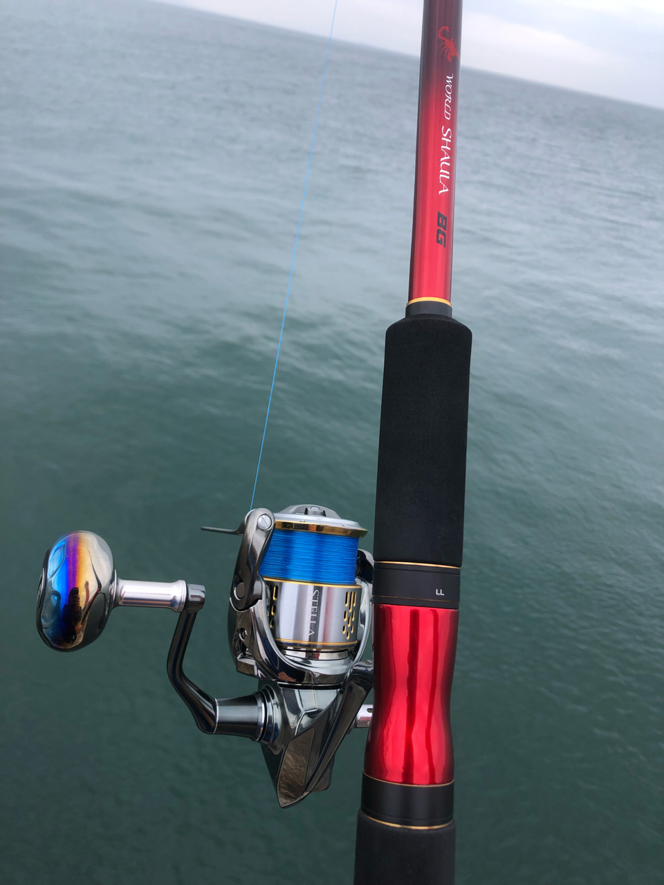 SHIMANO 22ステラ C5000XGのインプレ一覧 | 本音の口コミが