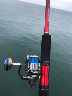 SHIMANO 22ステラ C5000XGのインプレ一覧 | 本音の口コミが集まる釣具  