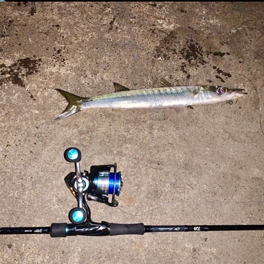 DAIWA EMERALDAS MX EME MX 86MH•E エメラルダス