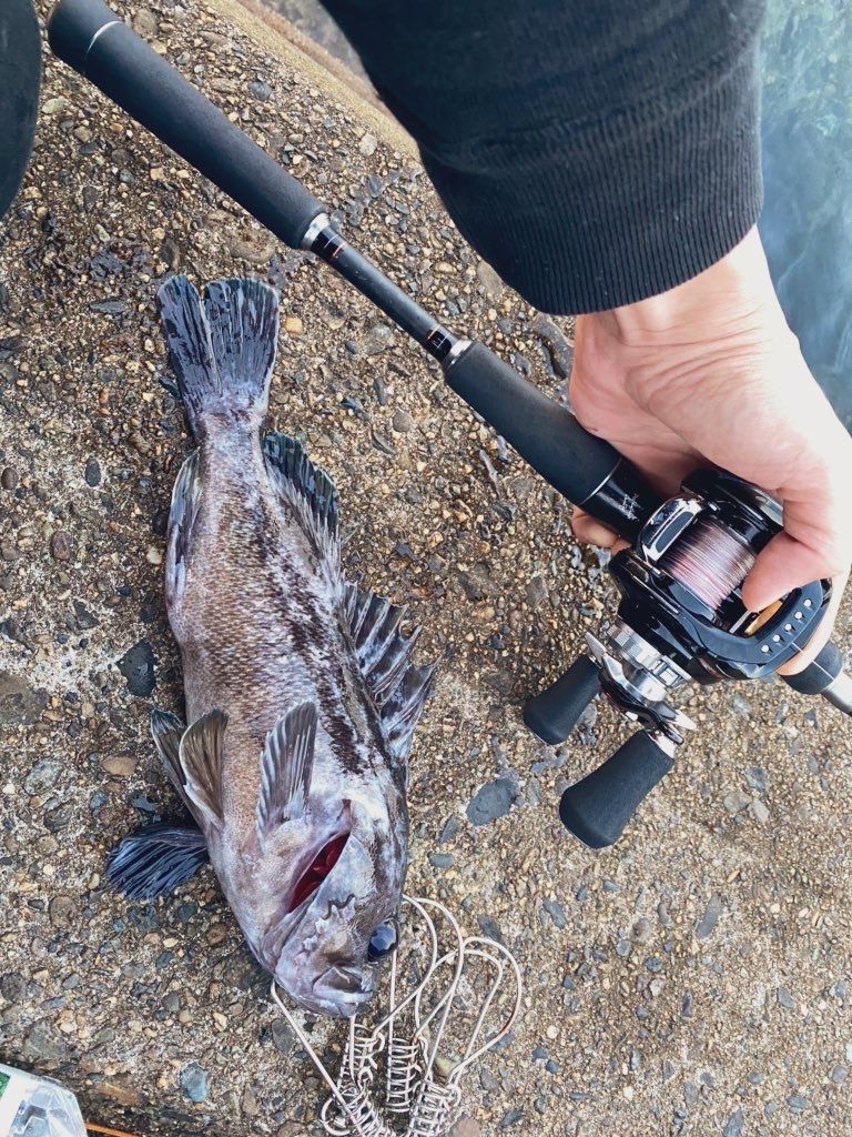 DAIWA - zillion tw HD 1520SH L DAIWA リール　バス　シーバス DAIWA ジリオン TW HD 1520XHLは海外の釣りに最適だった