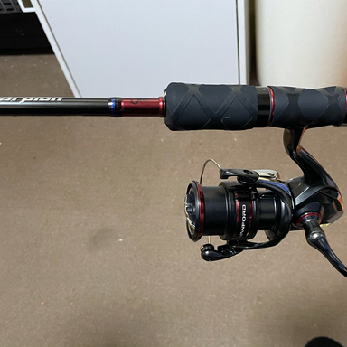 SHIMANO 19 Scorpion 2831