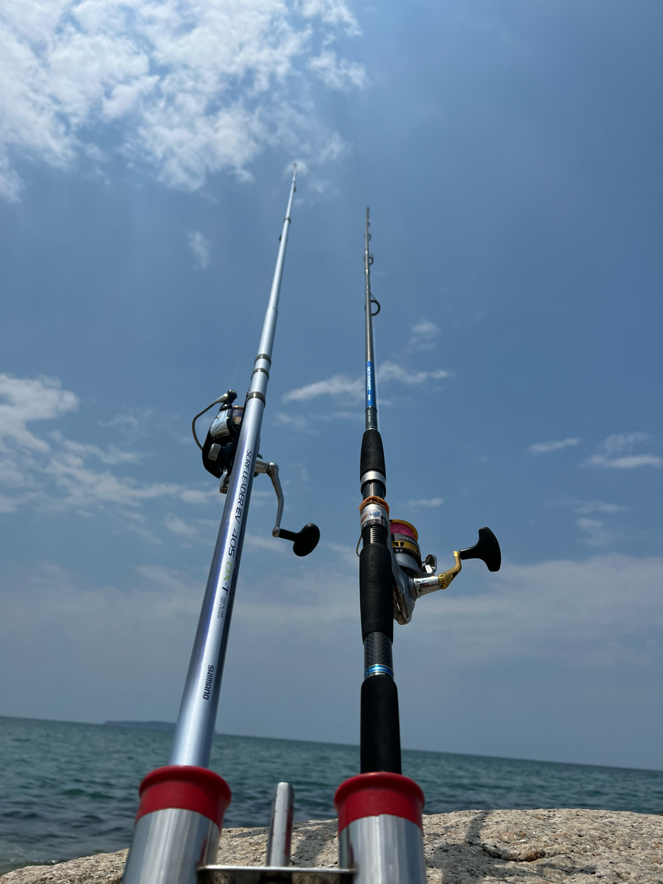 SHIMANO 17セドナ 4000XGの最安値・インプレ・釣果 | 本音の