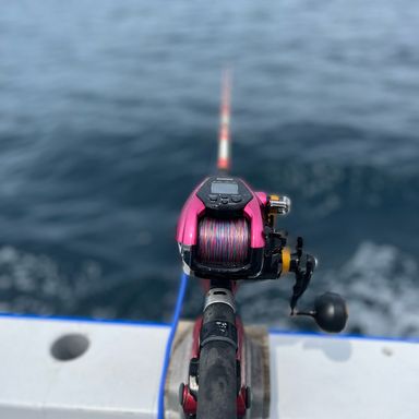 SHIMANO BeastMaster EJ 3000 ビーストマスターEJ 3000