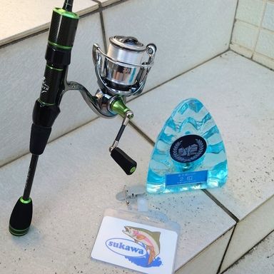 office eucalyptus Joker Royal 55SL