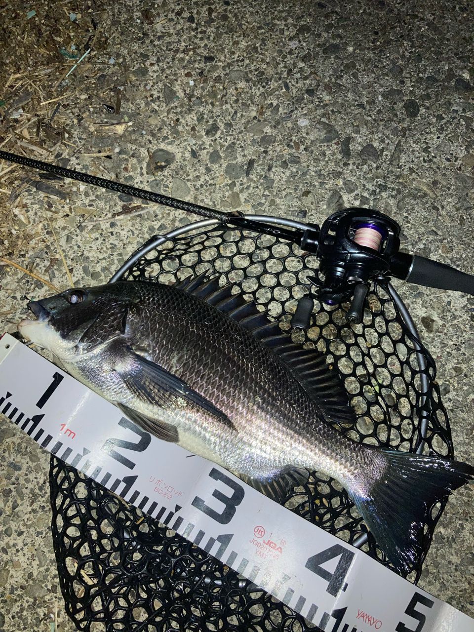 DAIWA 20タトゥーラ SV TW 103XHLのインプレ一覧 | 本音の口コミが