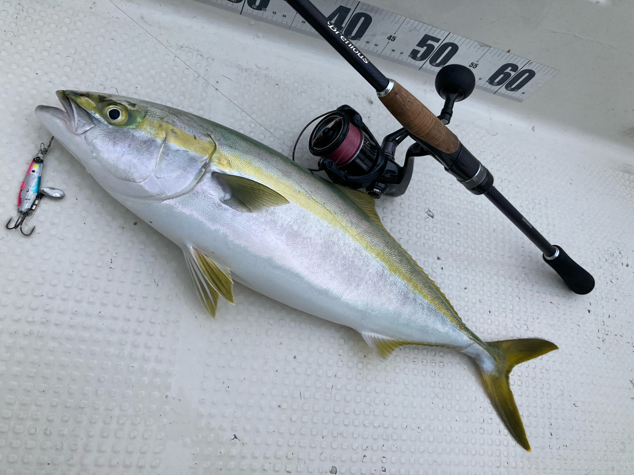 SHIMANO 19ブレニアス S76Mの最安値・インプレ・釣果 | 本音の