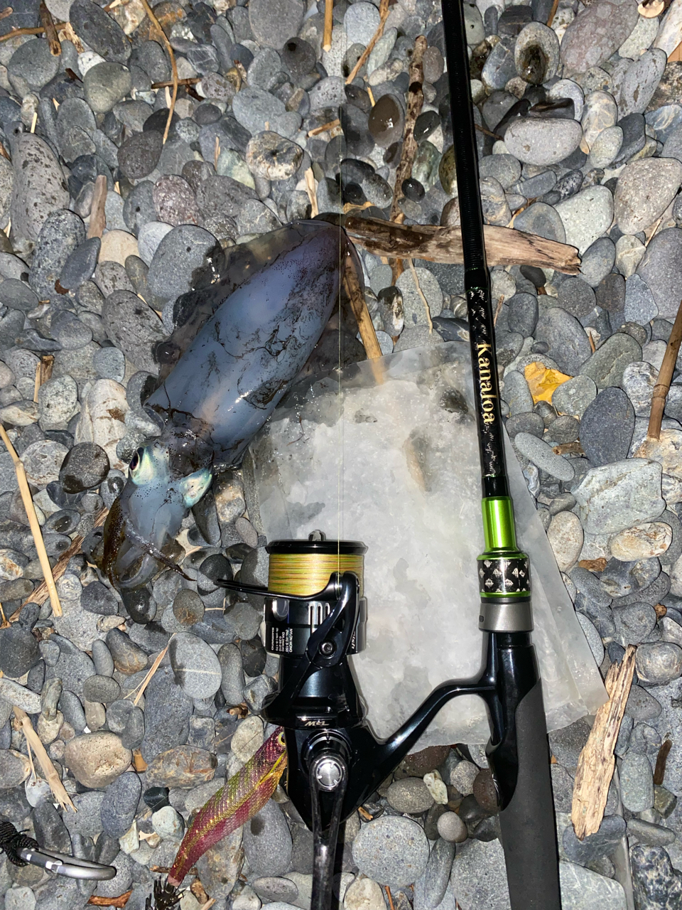 SHIMANO 19ヴァンキッシュ C3000XGのインプレ一覧 | 本音の