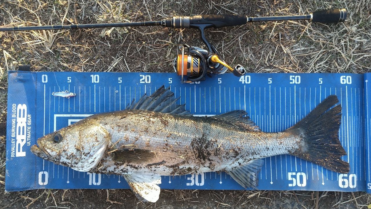 AbuGarcia クロスフィールド XRFS-734L-MBのインプレ一覧 | 本音の
