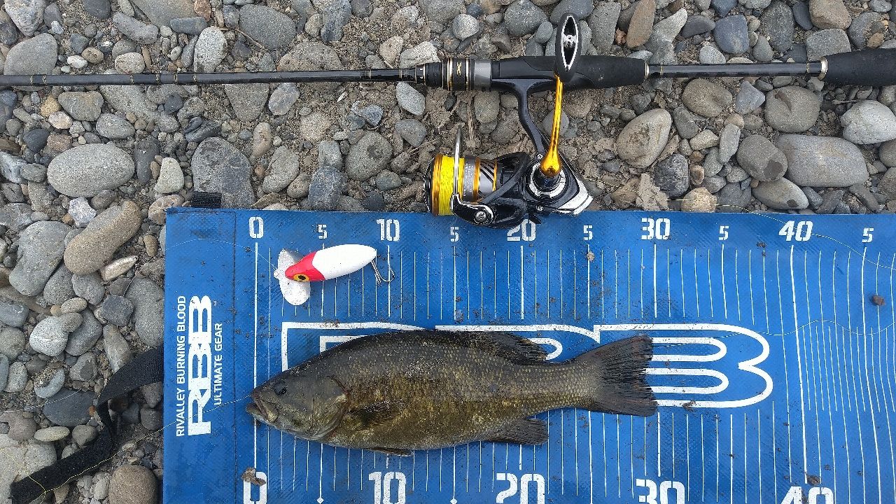 AbuGarcia クロスフィールド XRFS-734L-MBのインプレ一覧 | 本音の