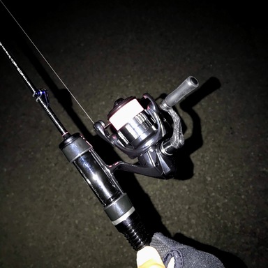 SHIMANO Vanquish (’19) 1000SSSPG