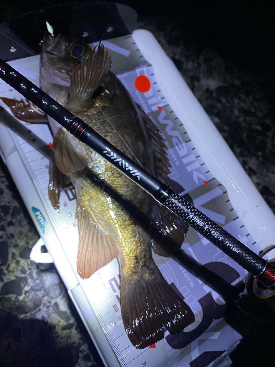 DAIWA 16アジング X 72L-Sの最安値・インプレ・釣果 | 本音の DAIWA 16アジング X 72L-Sの最安値・インプレ・釣果 | 本音の