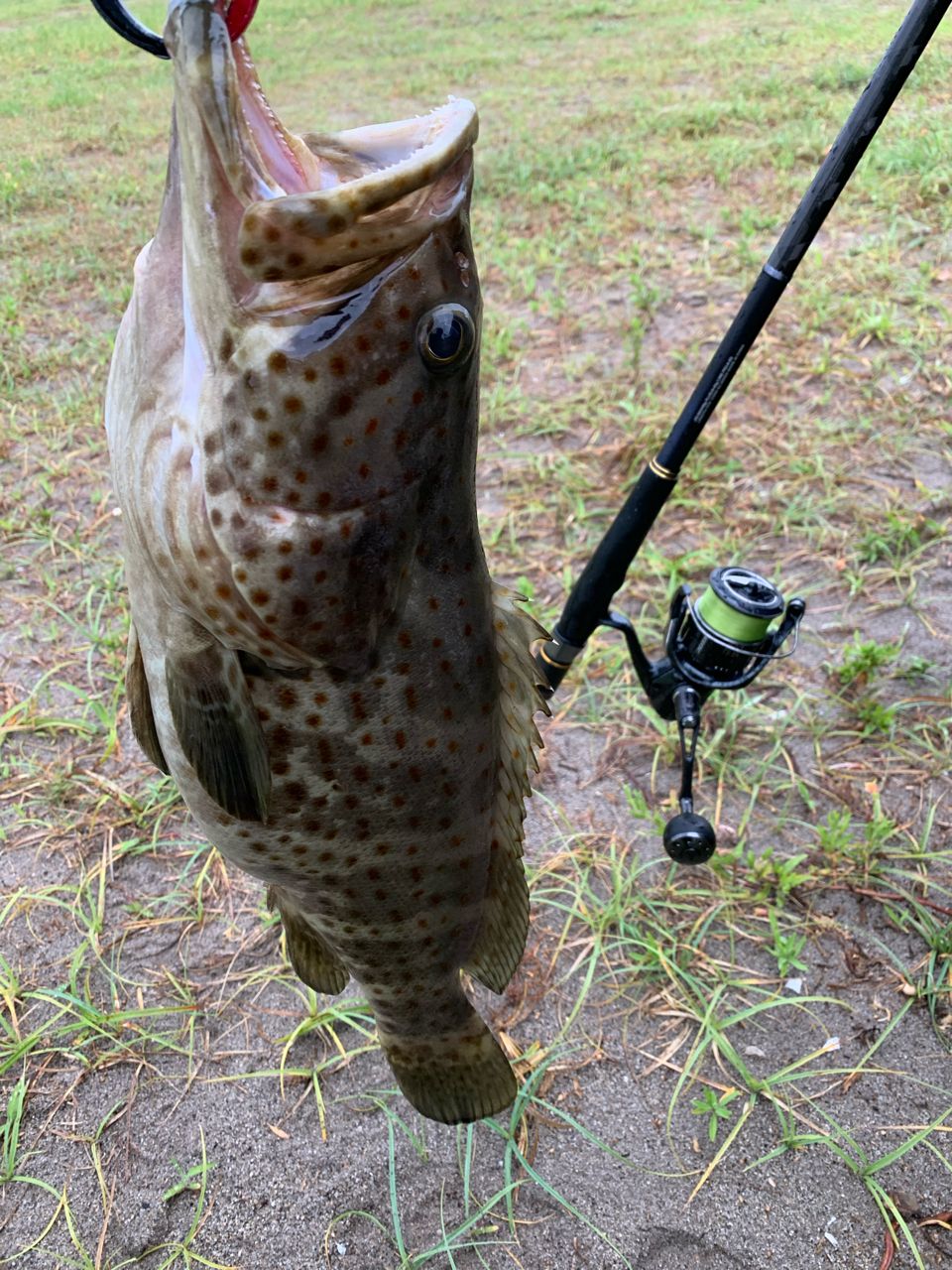 【極美品】シマノ 19 ヴァンキッシュ 4000XG（実釣1回のみ） 19ヴァンキッシュ4000XG