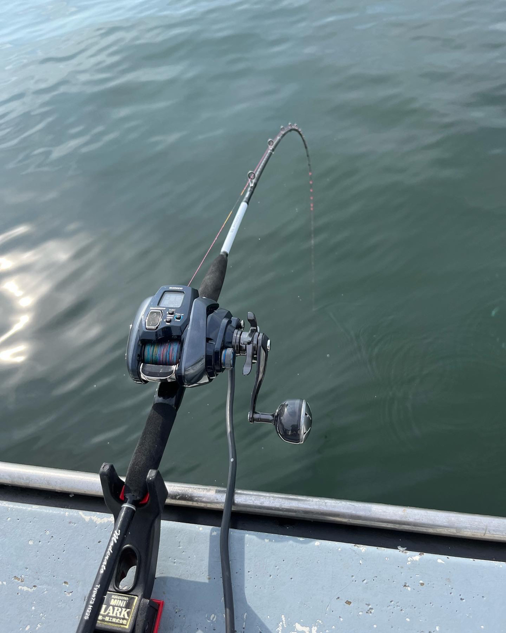 SHIMANO 21フォースマスター 1000の最安値・インプレ・釣果 | 本音の口コミが集まる釣具通販「TACKLE BOX」