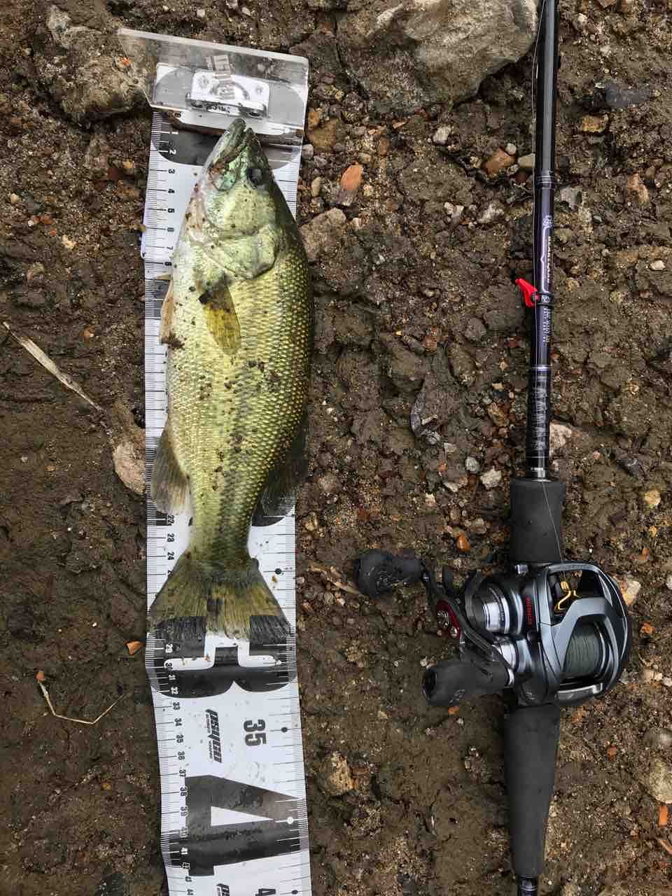 ダイワ　ハートランド　トリップセブンESS HL702HRB-AGS14 正規品アウトレット価格 ダイワ ハートランド トリップセブンESS