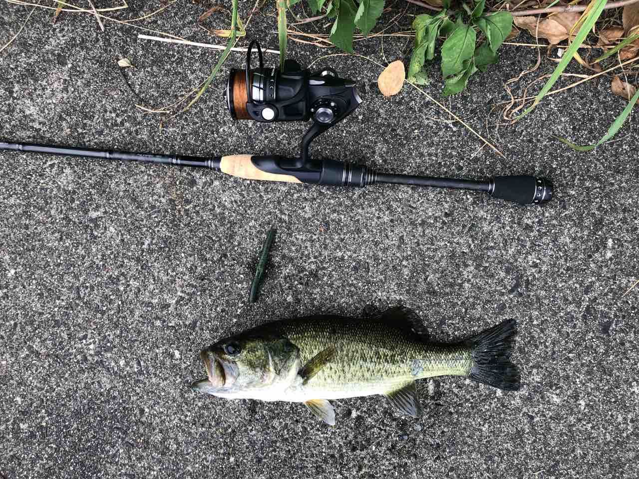 AbuGarcia 18ロキサーニ スピニング 2000SHのインプレ一覧 | 本音の