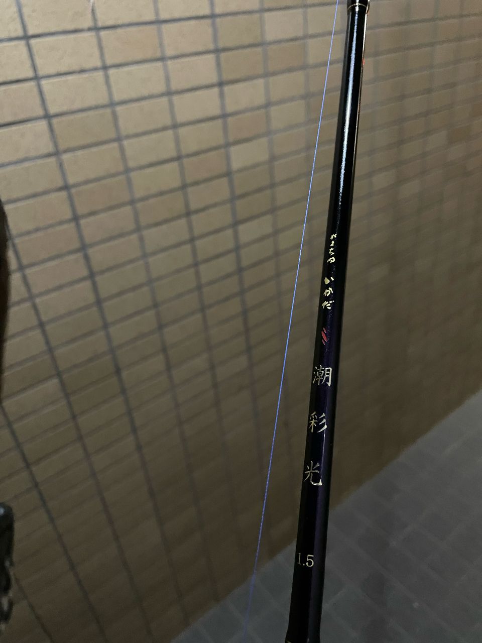 Gamakatsu がまちぬ いかだ 潮彩光 1.50mの最安値・インプレ・釣果
