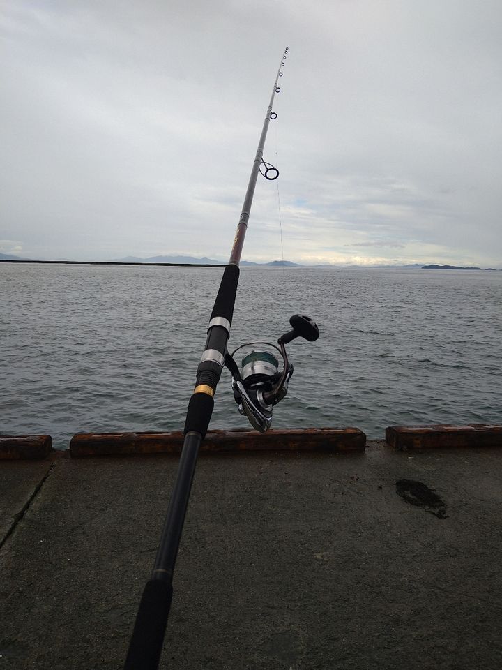 DAIWA 22オーバーゼア 100MHHの最安値・インプレ・釣果 | 本音の口コミ