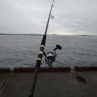 DAIWA OVERTHERE 100MHH