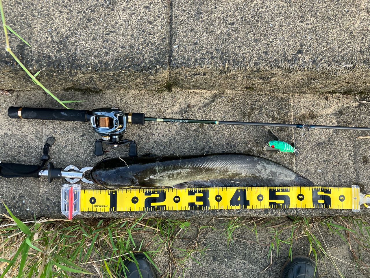 SHIMANO 23ルアーマチック (バス推奨モデル) B58Lの最安値