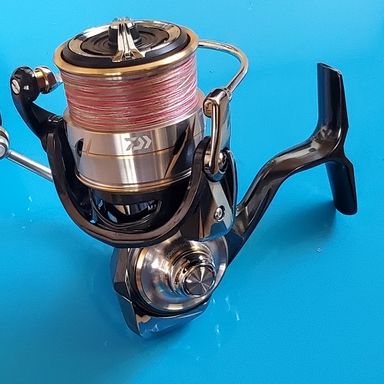 DAIWA LUVIAS LT3000S-CXH