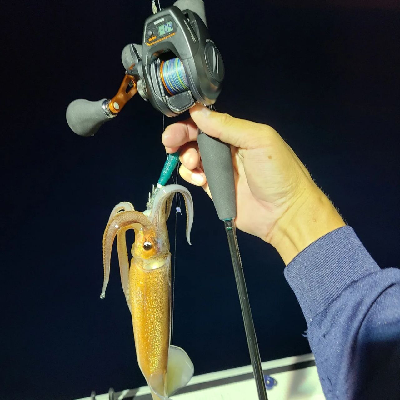 DAIWA 21エメラルダス X イカメタル 65XULB-Sの最安値・インプレ・釣果