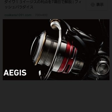 DAIWA AEGIS (’13) 2506