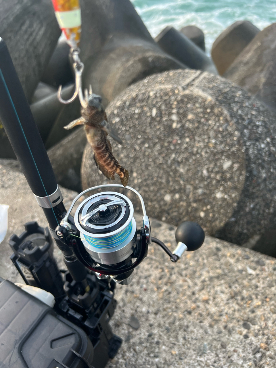 DAIWA 19レグザ LT5000D-CXHの最安値・インプレ・釣果 | 本音の口コミが集まる釣具通販「TACKLE BOX」