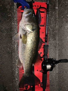 deps ヒュージカスタムの最安値・インプレ・釣果 | 本音の口コミ deps ヒュージカスタムの最安値・インプレ・釣果 | 本音の口コミ