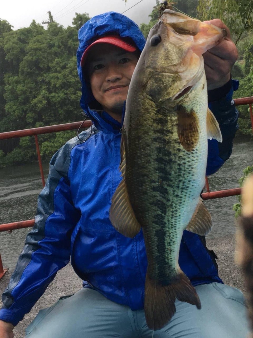 AbuGarcia ホーネットスティンガー プラス 用途特化型モデルの