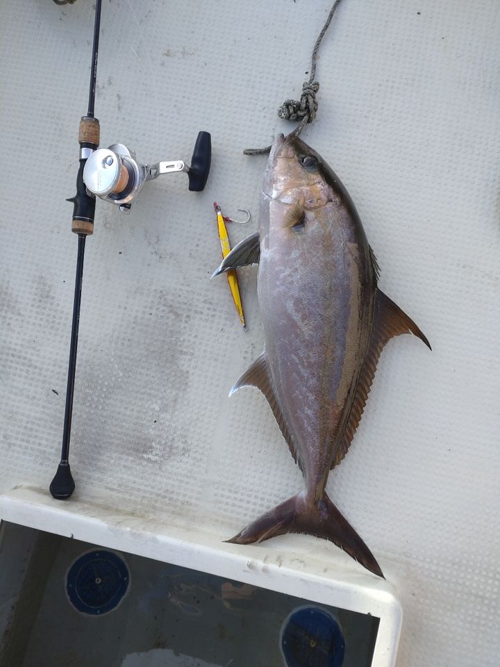 【最安値】17オシアジガー 2000NRHG シマノ(SHIMANO) 17 オシアジガー 2000NR-PG 右巻き 036735