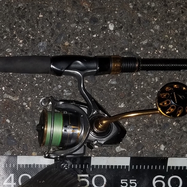 DAIWA FREAMS (’18) LT4000D-CXH