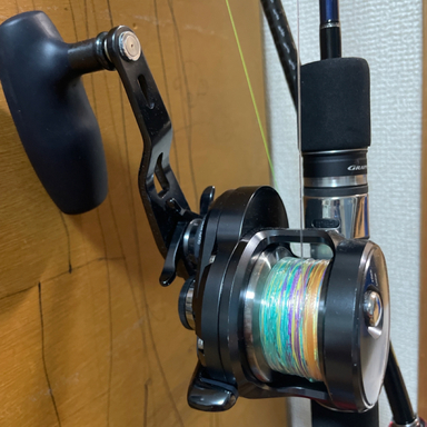 SHIMANO OCEA JIGGER F CUSTOM 1001HG