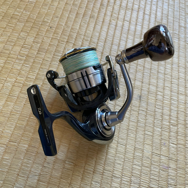 DAIWA CERTATE LT3000