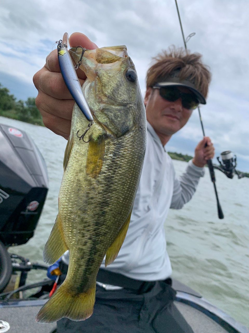 SHIMANO 19ヴァンキッシュ 2500Sの最安値・インプレ・釣果 | 本音の