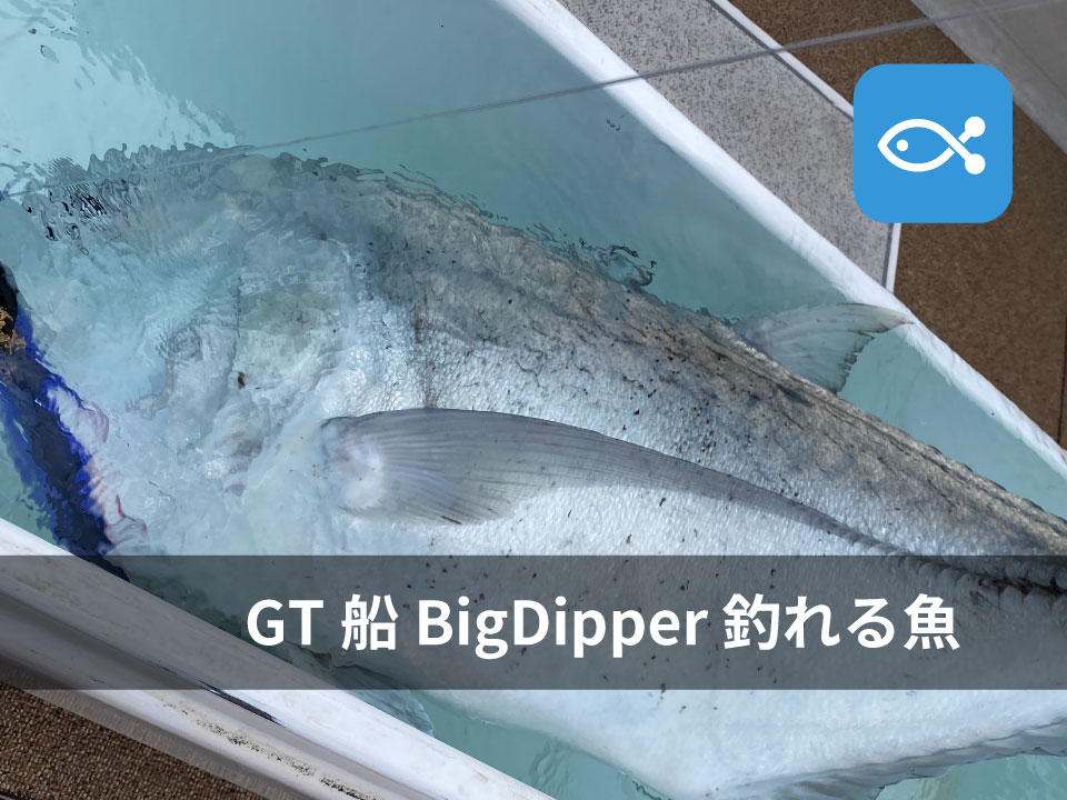 世界最高峰、GT専用の船Big Dipper③