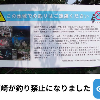 釣り禁止エリアが増えている件について〜大瀬崎まで釣り禁止になりました〜