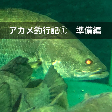 日本3大怪魚に挑戦　アカメ釣行①〜準備編〜