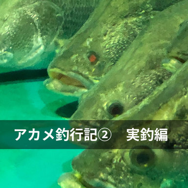 日本3大怪魚に挑戦　アカメ釣行②〜実釣編〜