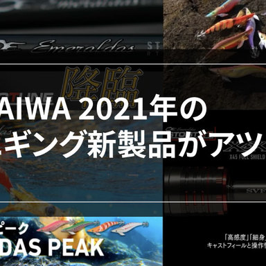 【エギング】 DAIWA 2021年の新商品をご紹介！