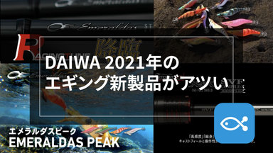 【エギング】 DAIWA 2021年の新商品をご紹介！