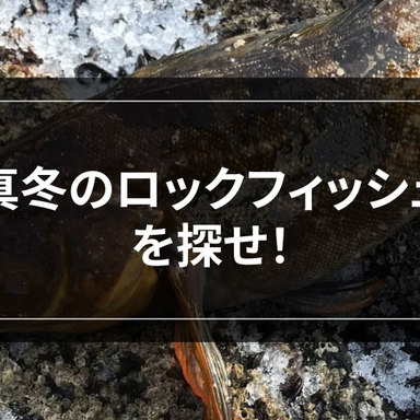 【ロックゲーム】大型アイナメは、冬こそチャンス！