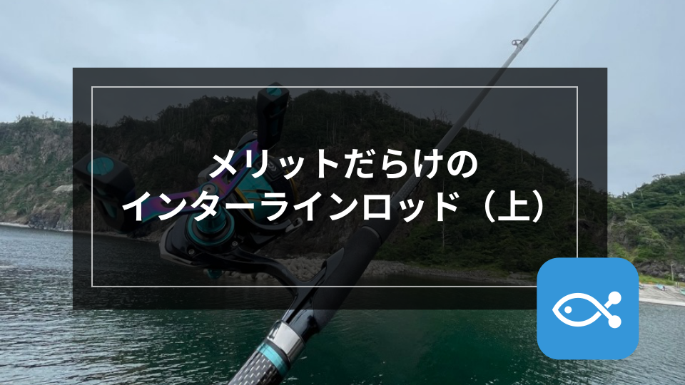 エギング】メリットだらけのインターラインロッド（上