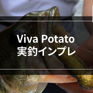 【Viva Potato】夏にこそ使いたいバスワームの実釣インプレ