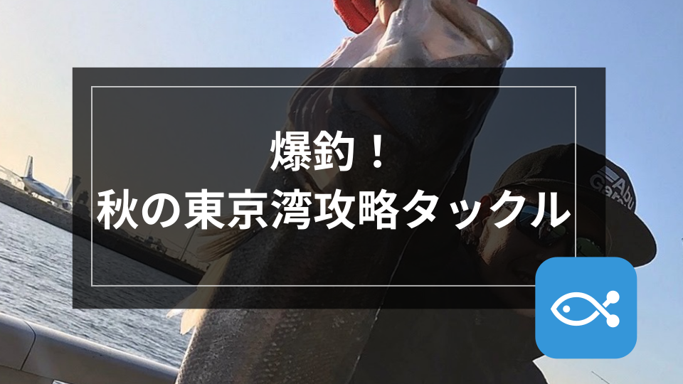 【シーバス】爆釣！秋の東京湾攻略タックル