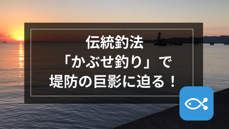 伝統釣法】「かぶせ釣り」で堤防の巨影に迫る - アングラーズ | 釣果