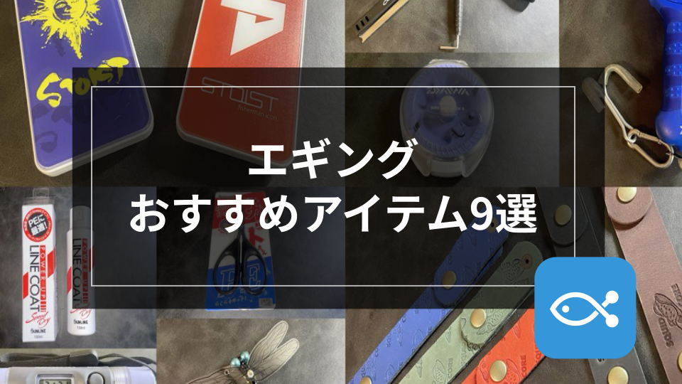 エギング】初心者エギンガー必見！〜オススメアイテム9選〜 - アングラーズ | 釣果500万件の魚釣り情報サイト