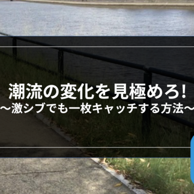オフショア】はじめてのオフショアゲーム-シーバスの回