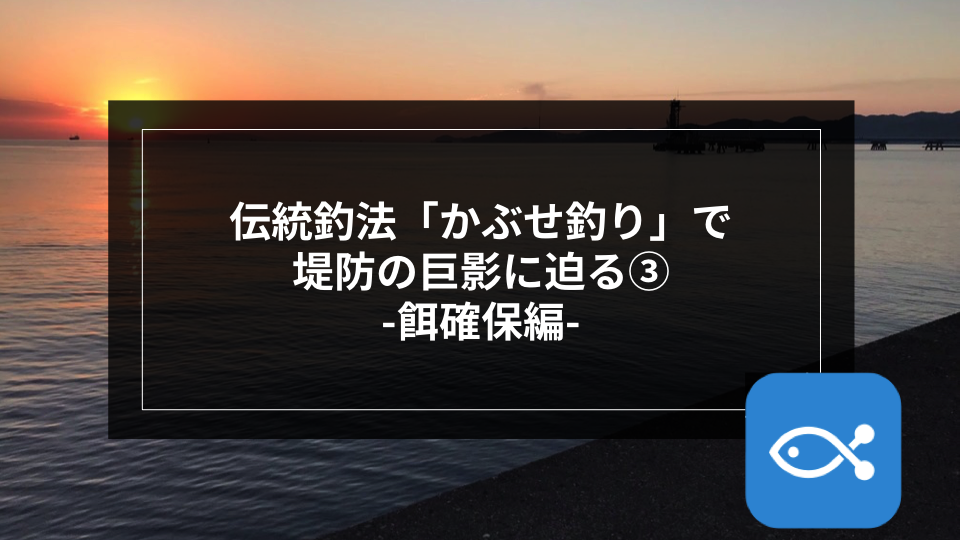 伝統釣法】「かぶせ釣り」で堤防の巨影に迫る-餌確保編