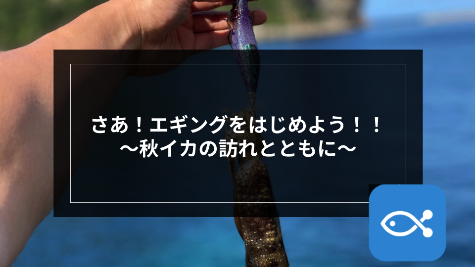 エギング】さあ！エギングをはじめよう！！ 〜秋イカの訪れとともに