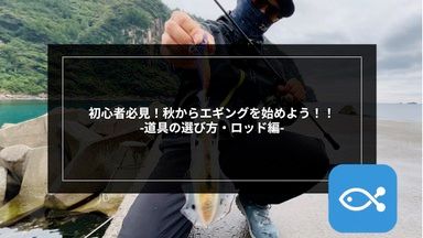 エギンガー　ルアーマン必見　各種ラインセット４～５万円分 エギンガールアーマン必見各種ラインセット4～5万円分
